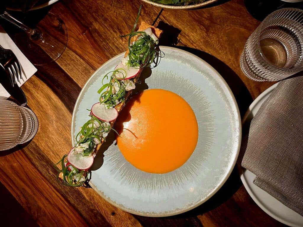 tasty tartar on a cracker